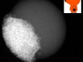 EM02