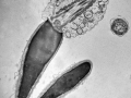 EM01